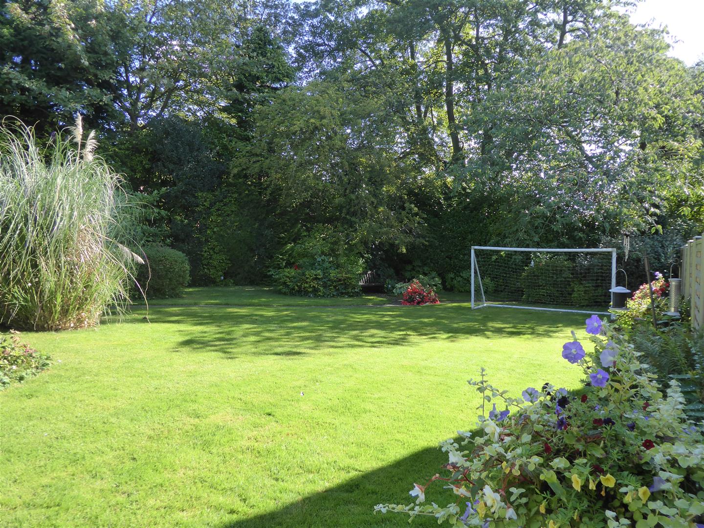 LAWN